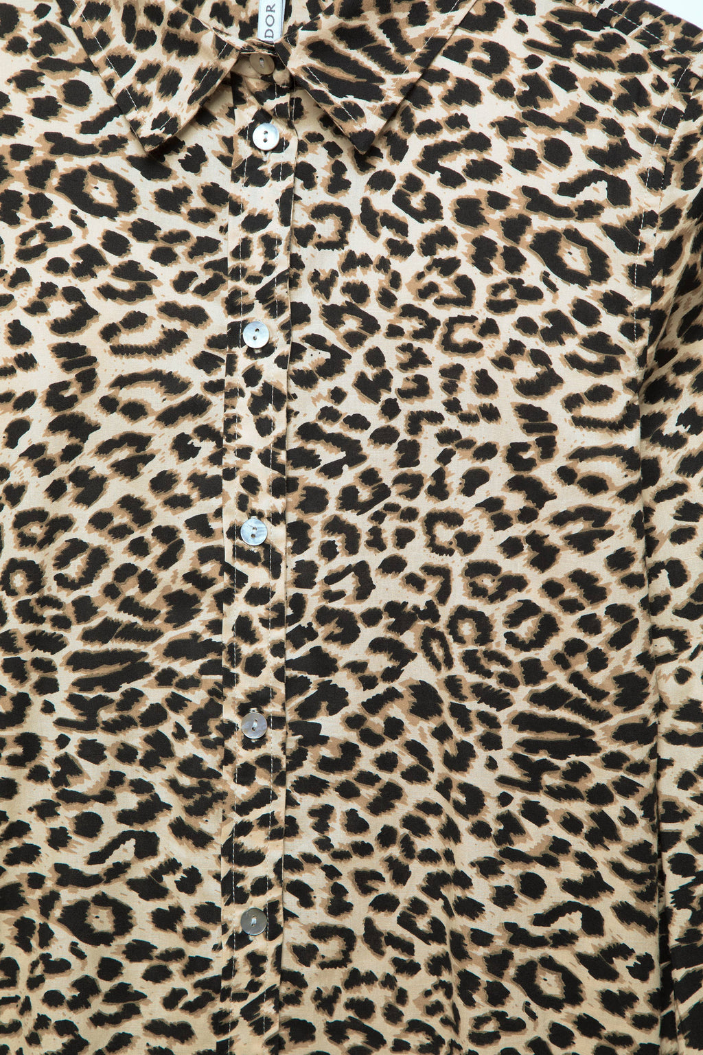 Lanidor Damenbluse im Animal-Print aus 100% Baumwolle