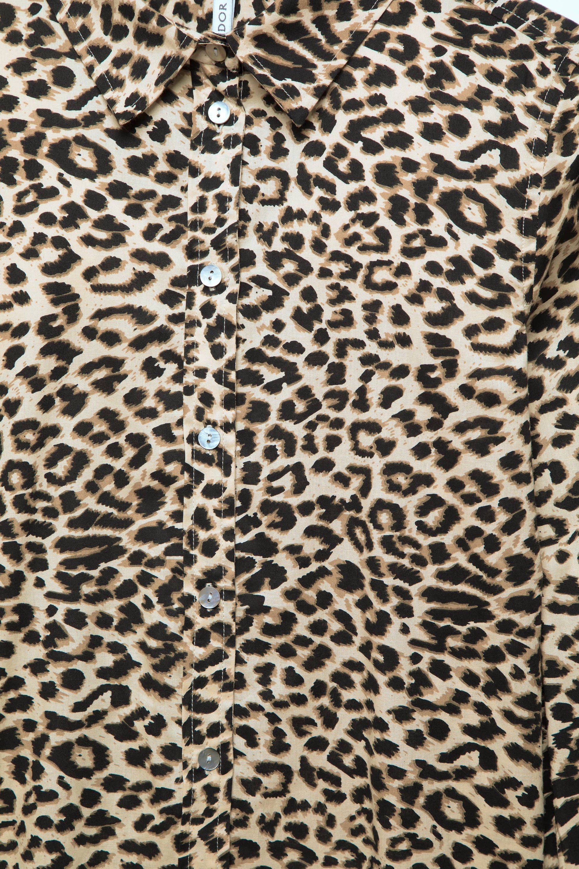 Lanidor Damenbluse im Animal-Print aus 100% Baumwolle